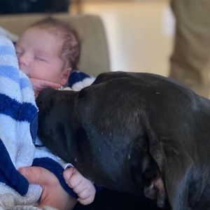 Meet your Posher, Luke